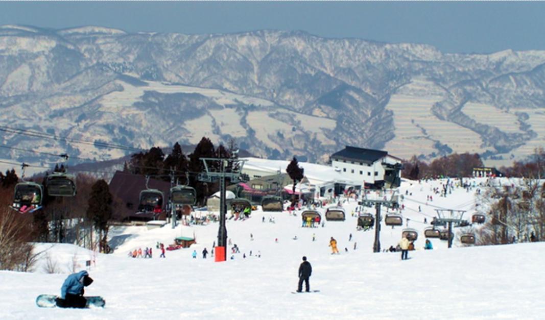 Inaka No Yado Sawa Hotel Nozawaonsen Eksteriør billede