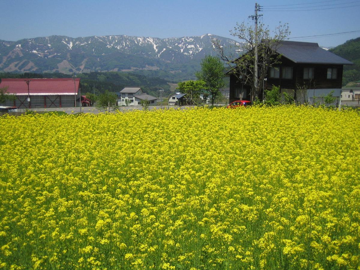 Inaka No Yado Sawa Hotel Nozawaonsen Eksteriør billede