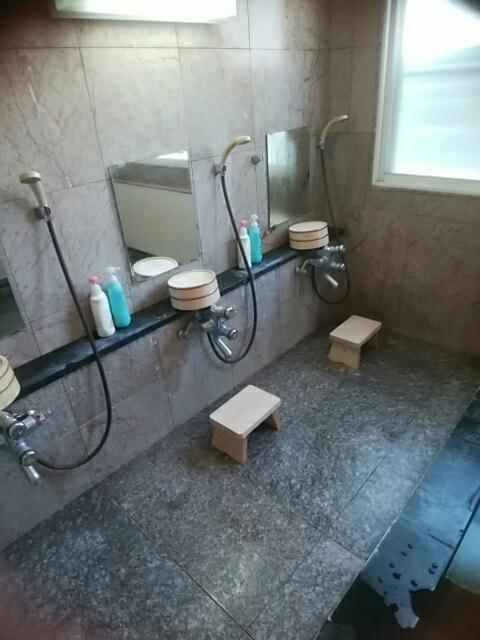 Inaka No Yado Sawa Hotel Nozawaonsen Eksteriør billede