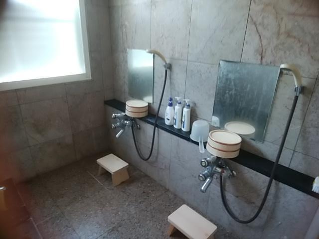 Inaka No Yado Sawa Hotel Nozawaonsen Eksteriør billede