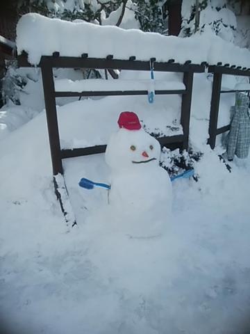 Inaka No Yado Sawa Hotel Nozawaonsen Eksteriør billede